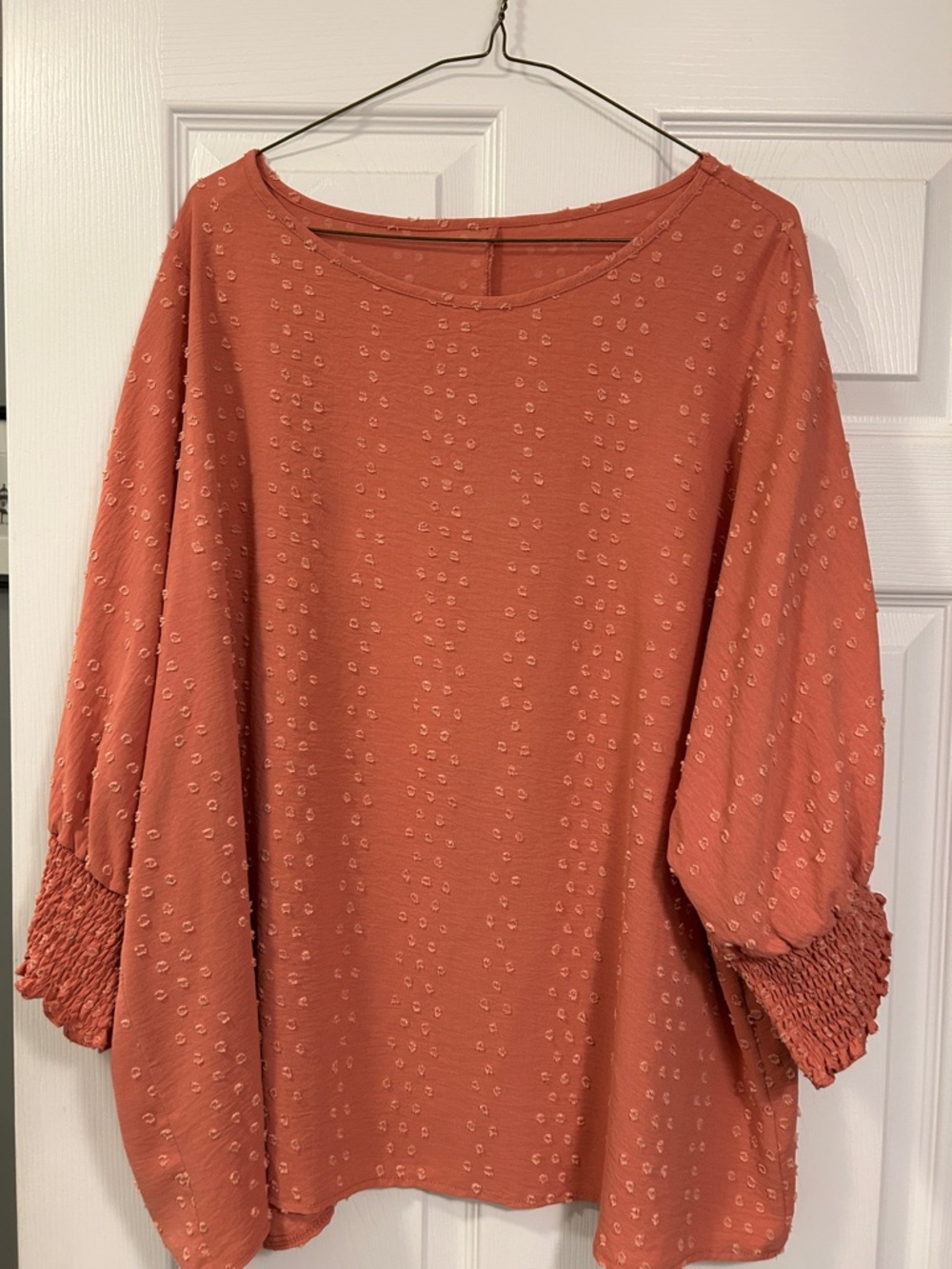 SHEIN Rust Textured Swiss Dot Balloon Sleeve Blouse